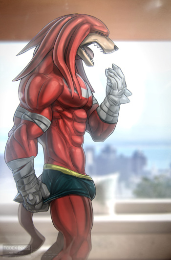 Knuckles cover