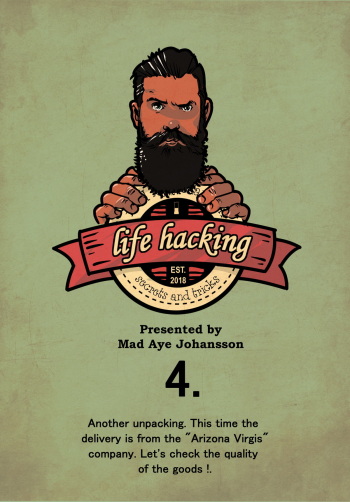 Mad.Aye - Life Hacking 4 cover