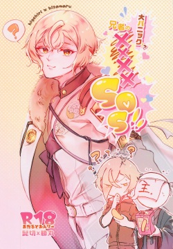 daipanikku！？anijano××××SOS！！