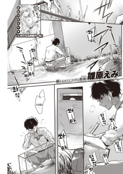 shizumu