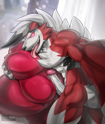 Lycanroc Midnight Form cover