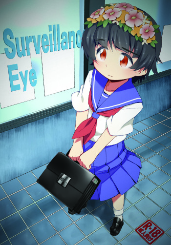 Surveillance Eye cover
