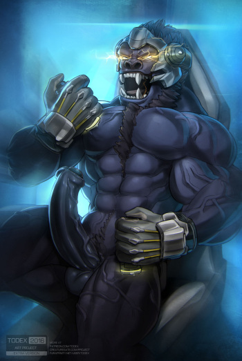 Winston cover