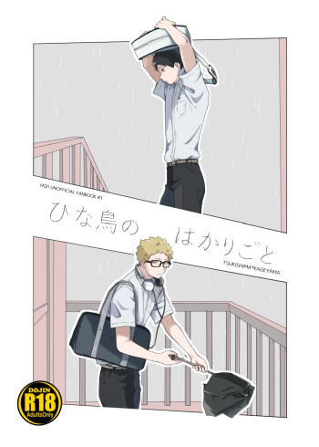 Hinadori no Hakarigoto cover