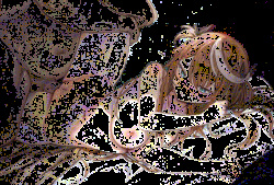 October 2022 Animation