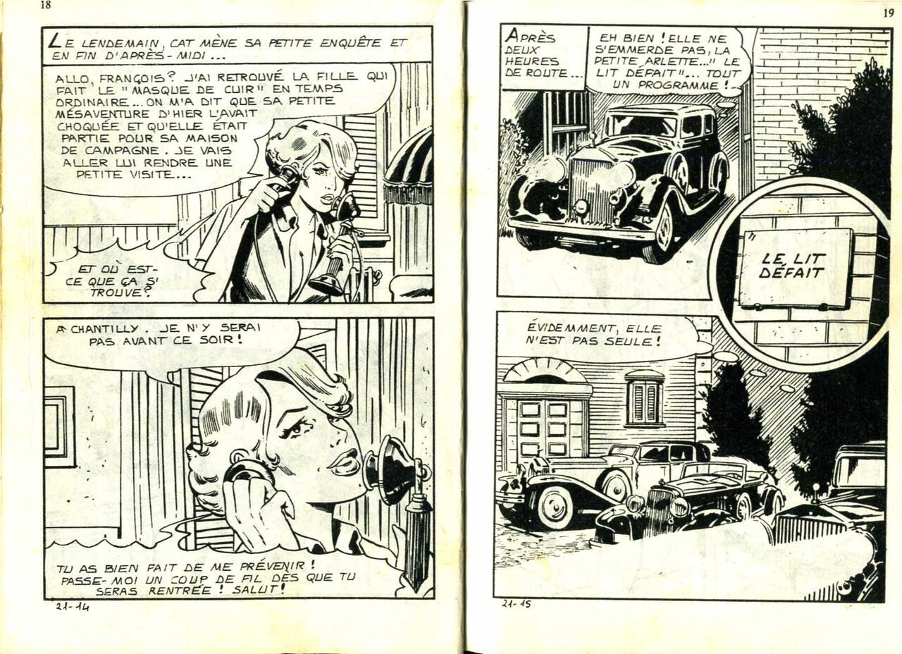 PFA - Elvifrance - Baghera #21 Il ne tombe pas que des nèfles page 10 full