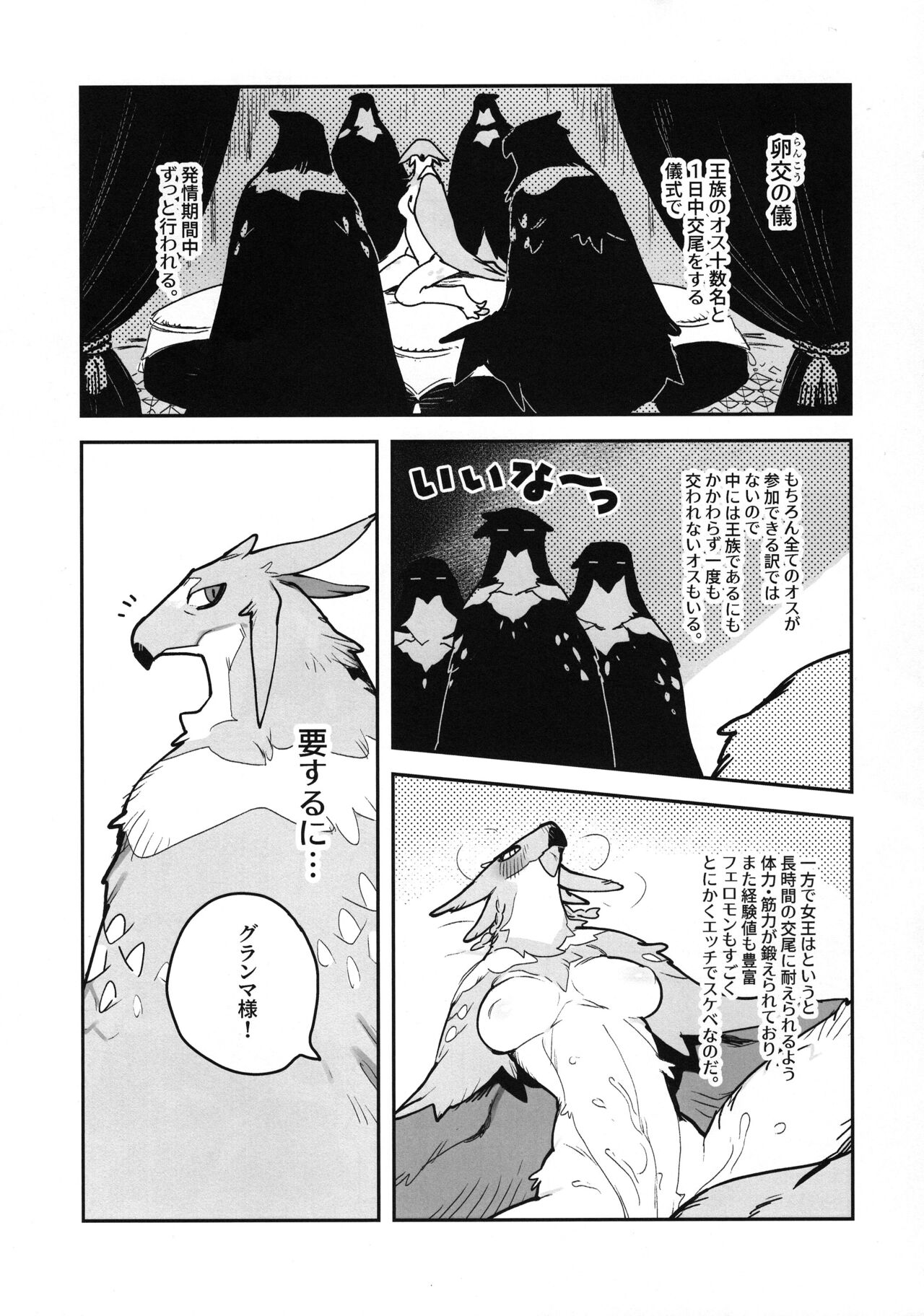 HALAM page 5 full