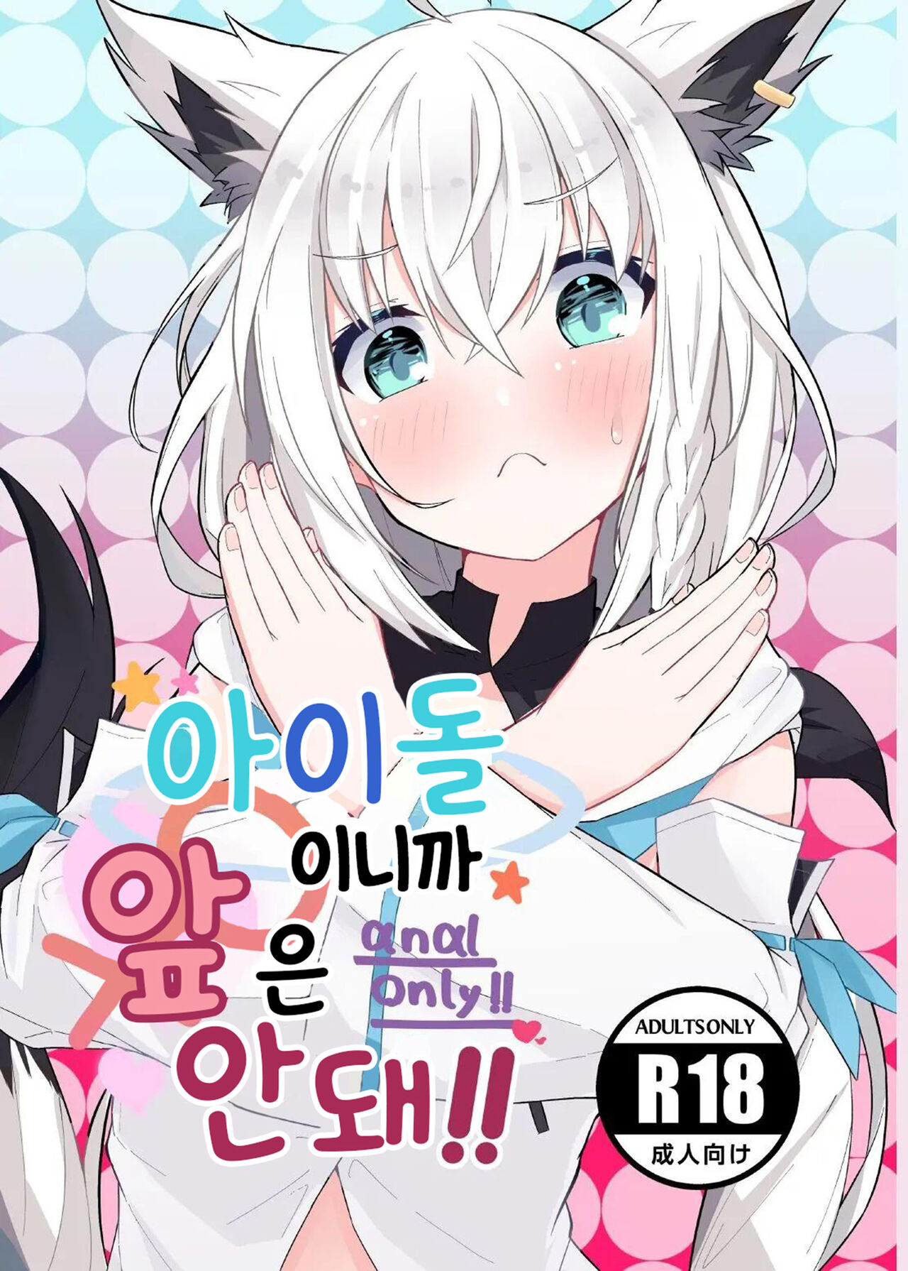 Idol dakara Mae wa Dame!! | 아이돌이니까 앞은 안돼!! page 2 full