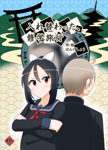 Swapped school trip cover