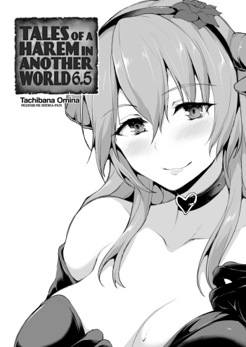 ISEKAI HAREM MONOGATARI - CAPÍTULO EXTRA 6.5 cover