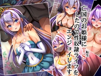 Boukoku no Ohime-sama ni TS shita node Seidorei Life o Enjoy Shimasu cover