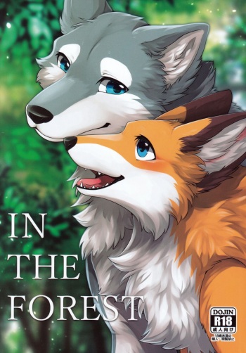 IN THE FOREST cover