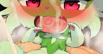 Kusa Neko cover