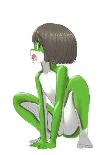 Lolwi Frog cover