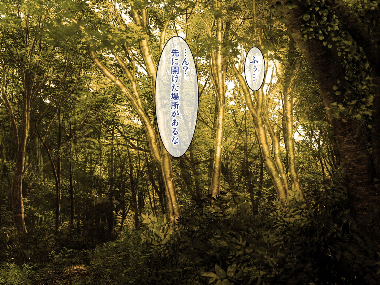 メスガキサキュバスに憑りつかれた騎士様 page 6 full