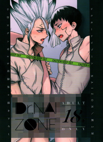 Dr.NAI ZONE cover