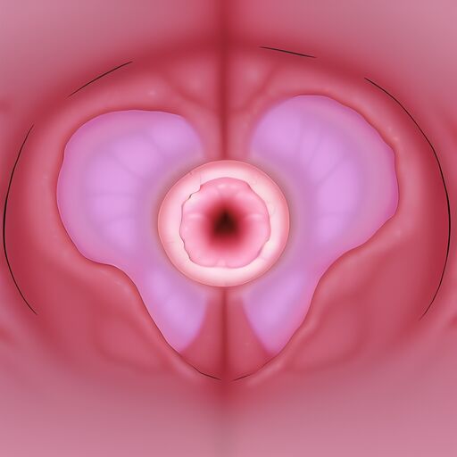 novela uterus mucosa tentacle page 8 full