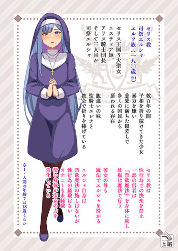 Sister Elf's Conversion 2 cover