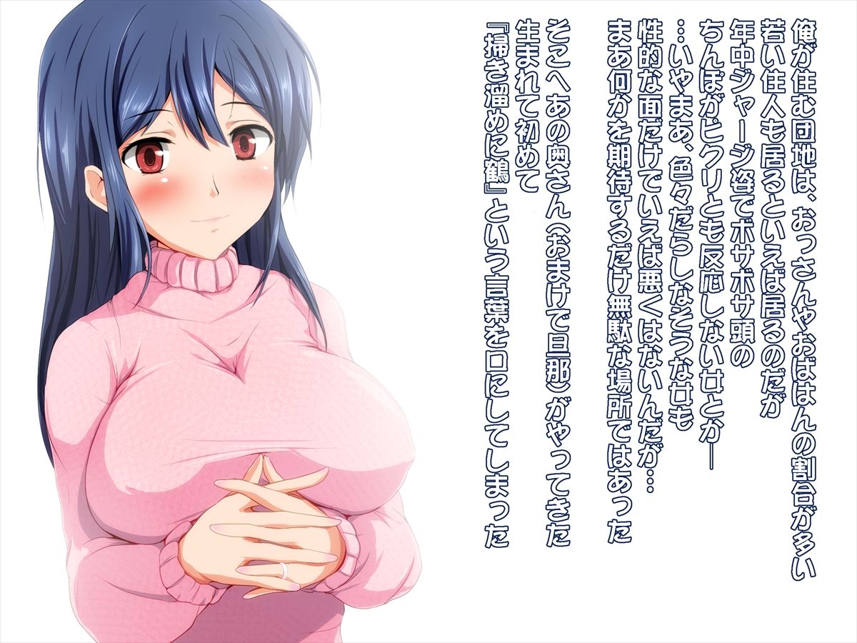 Danchi Tsuma Pack page 3 full