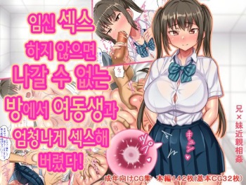 Haramase Sex shinai to Derarenai Heya de Imouto to Pakopako Hamehame shitatta | 임신 섹스하지 않으면 나갈 수 없는 방에서 여동생과 엄청나게 섹스해 버렸다! cover