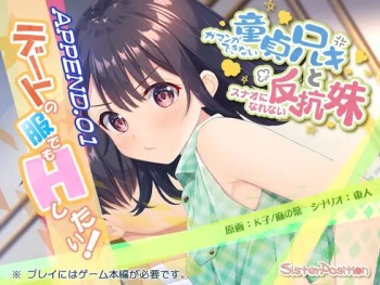 Gaman ga Dekinai Doutei Aniki to Sunao ni Narenai Hankou Imouto APPEND.01 デートの服でもHしたい cover