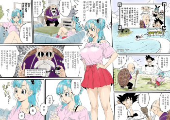 Bulma ✕ Kame-Sennin Last cover