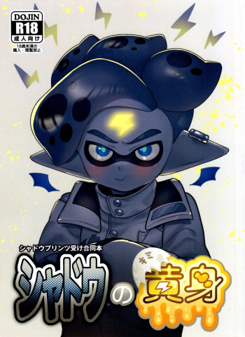 Shadow no kimi cover