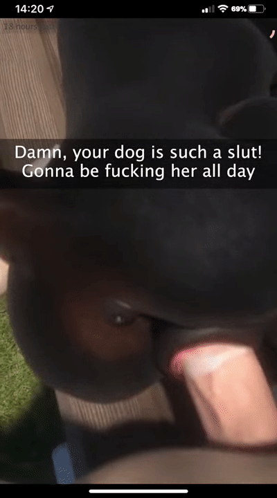 Furjoe0 Impregnating Your Dog page 2 full