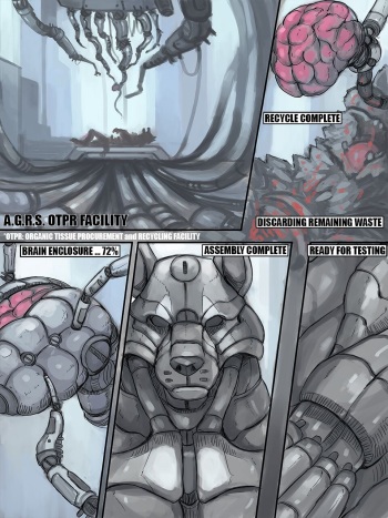 Resurrection cover