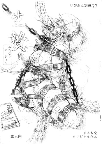 Vivian Bessatsu 22 - Ikenie Futanari Version cover