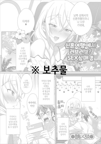Shinkon Ryokou de Love Love? Sex Zanmai | 신혼여행에서 러브러브? SEX삼매경 cover