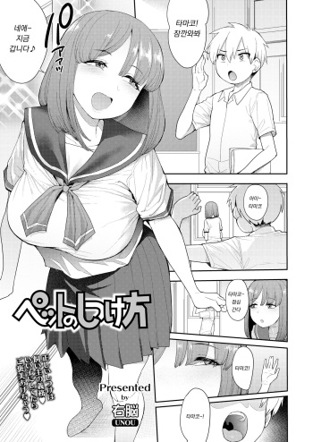 Pet no Shitsukekata cover