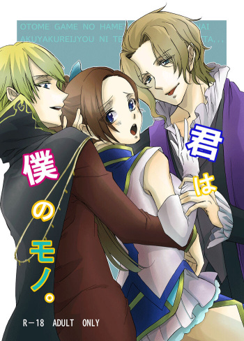 kimi wa boku no mono.  Digital cover