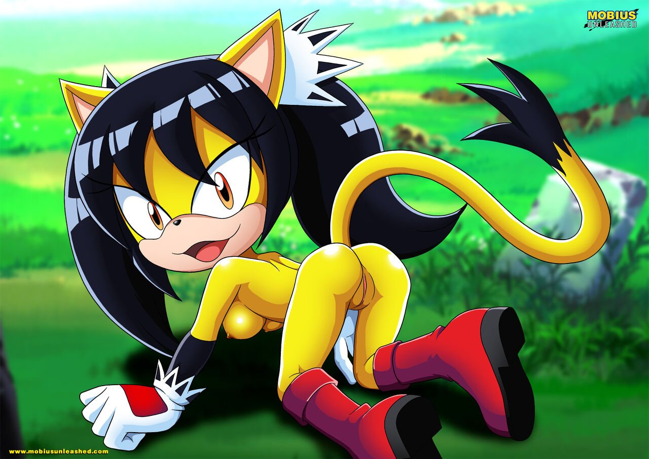 Mobius Unleashed: Honey the cat page 4 full