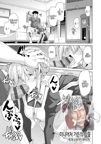 Hakoniwa ni Saku Mesu no Hana Ch.07 / 미니어처 가든의 암꽃 제7화 cover