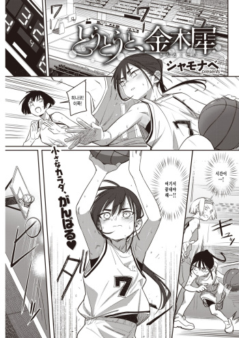 Toutouto, kinmokusei cover