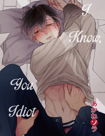 Baka da ne, Shitteru yo. | I Know, You Idiot cover