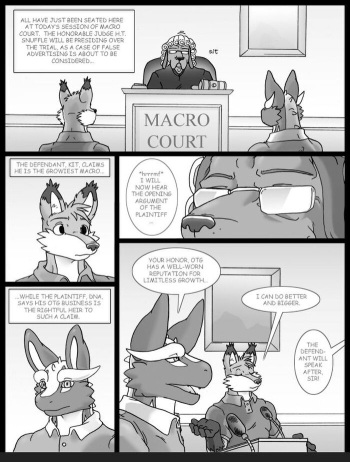 Macro Court cover
