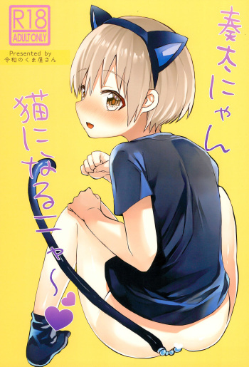Souta-nyan ni naru nyaa cover