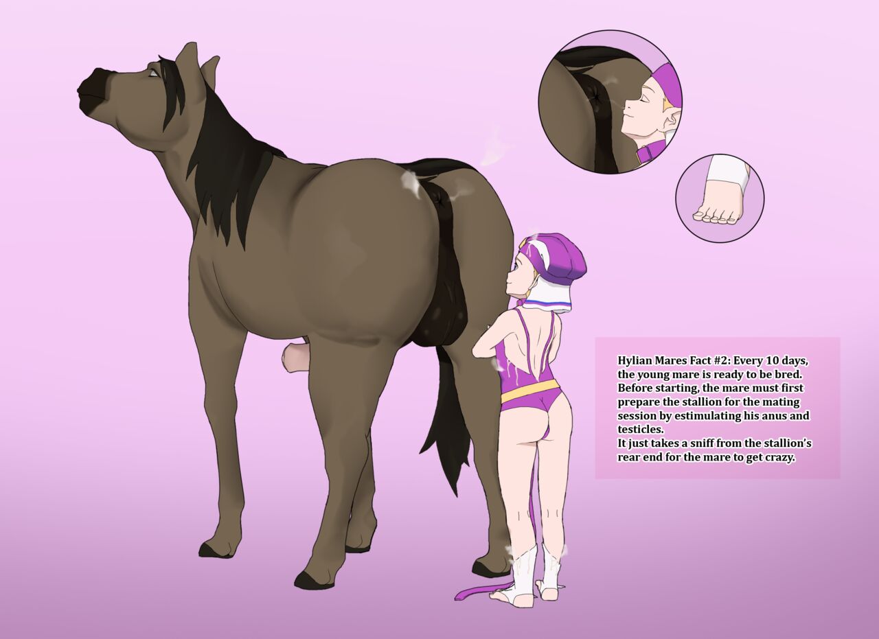 Hylian Mares page 2 full
