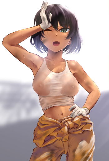 wet shirts and other cloths cover