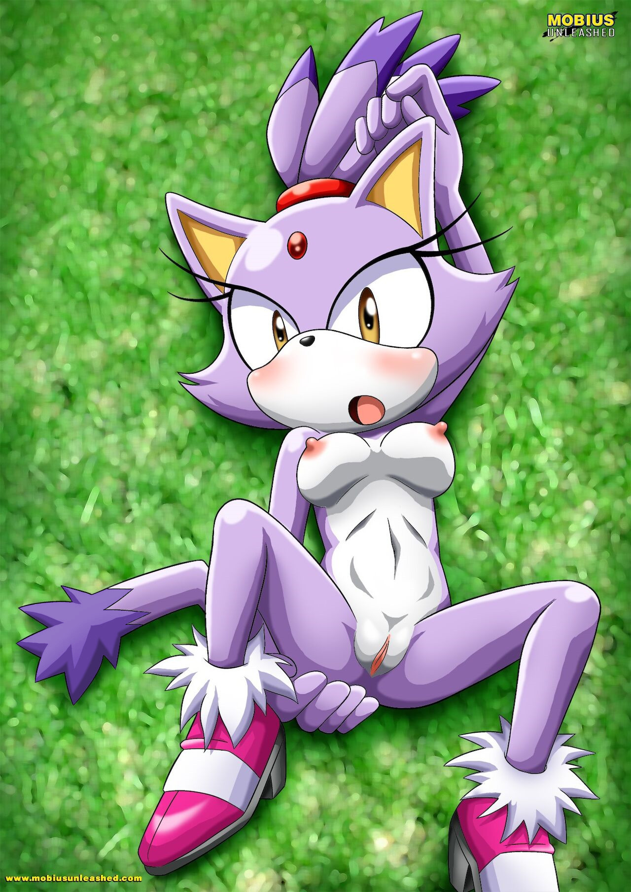 Mobius Unleashed: Blaze the Cat page 1 full