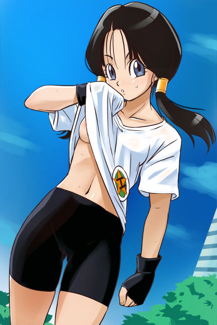 Videl Char Collection page 4 full