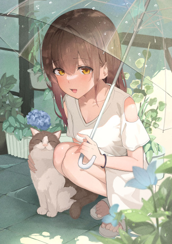 Akadashi cover