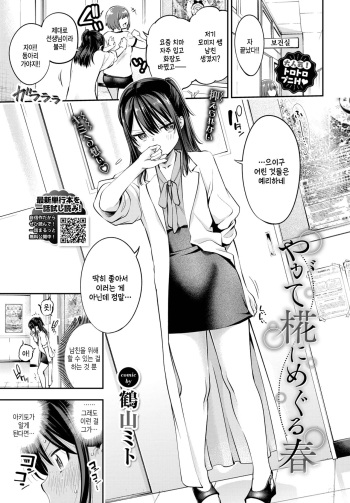 Yagate Momiji ni Meguru Haru cover
