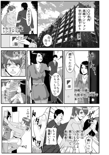 Rankou suru Onna no Innen Cat Fight cover