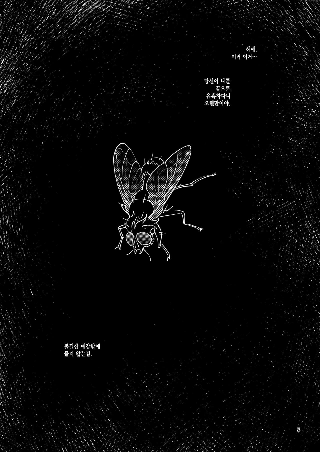 Tint+℃ Tint+℃ 틴트 플러스 디그리 셀시우스 page 4 full