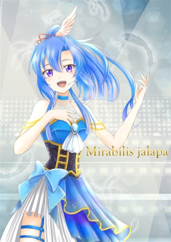 Mirabilis jalapa cover