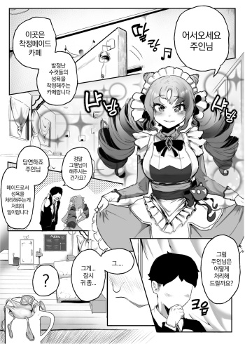 maid cafe cover