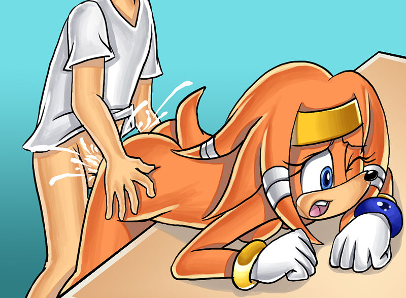 Tikal The Echidna Char Collection page 5 full
